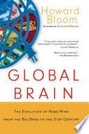 Global Brain: The Evolution of Mass Mind from the Big Bang to the 21st Century