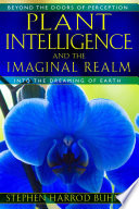 Plant Intelligence and the Imaginal Realm: Beyond the Doors of Perception into the Dreaming of Earth